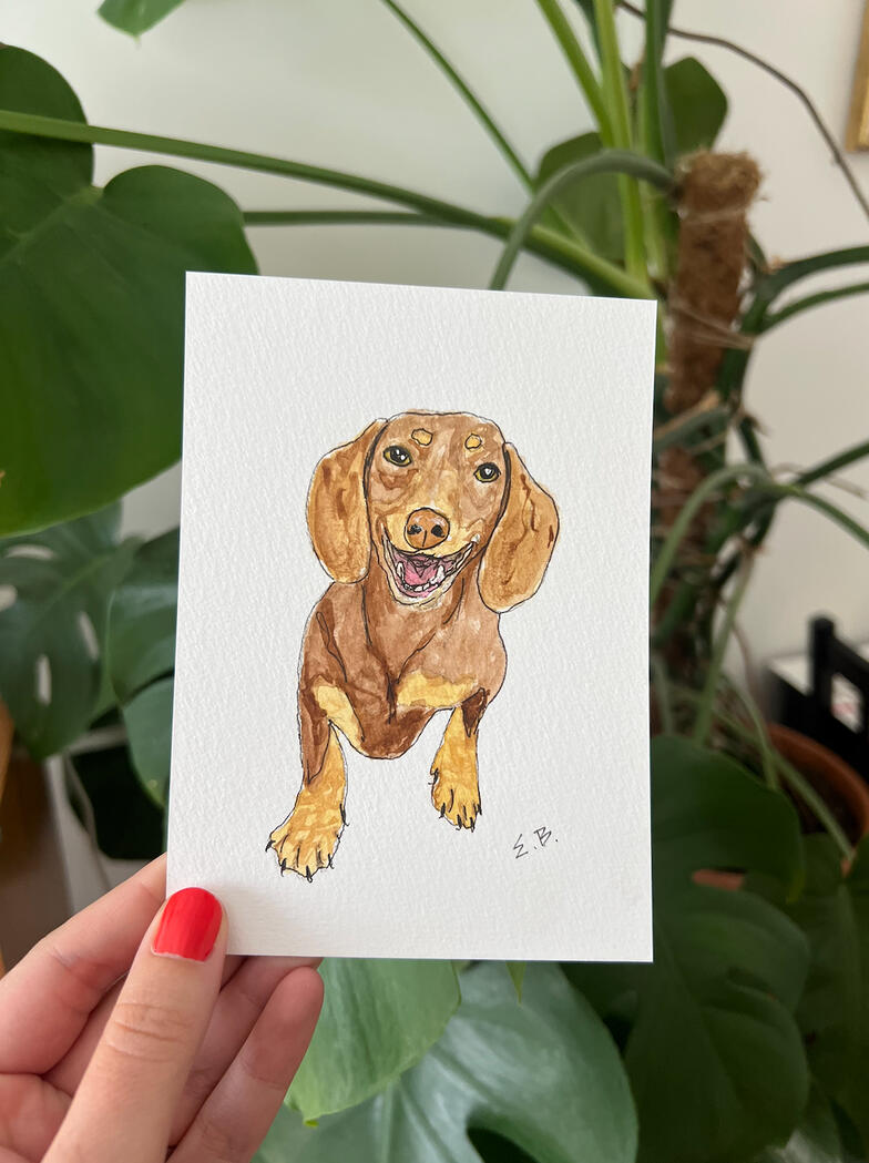 Penny Penny
