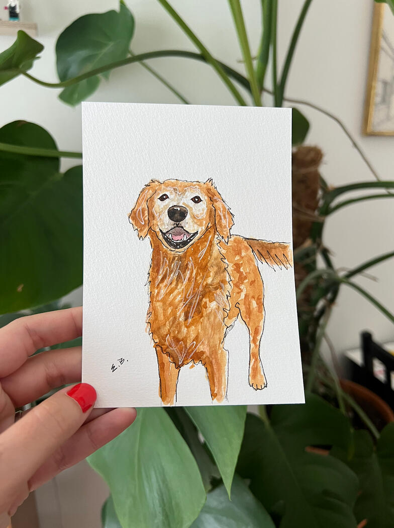 Nala Nala