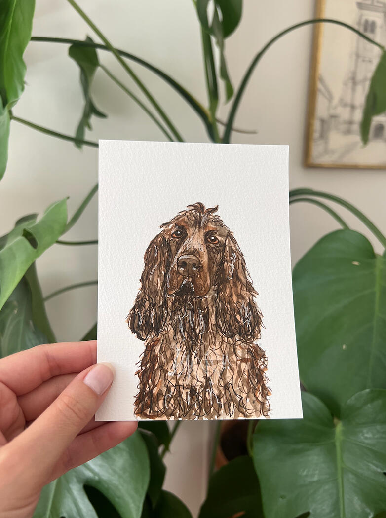 Billy Dog Billy Dog