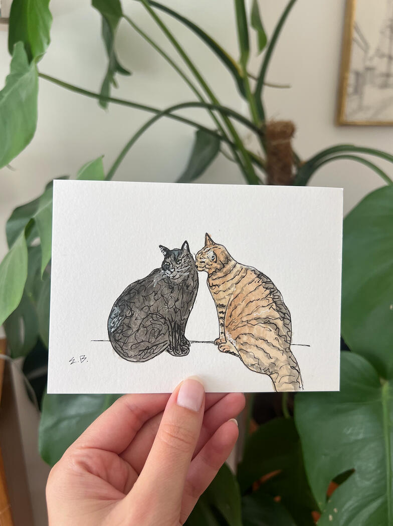 2 Cats 2 Cats
